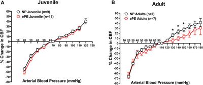 Cerebral Blood Flow Autoregulation in Offspring From Experimentally Preeclamptic Rats and the Effect of Age